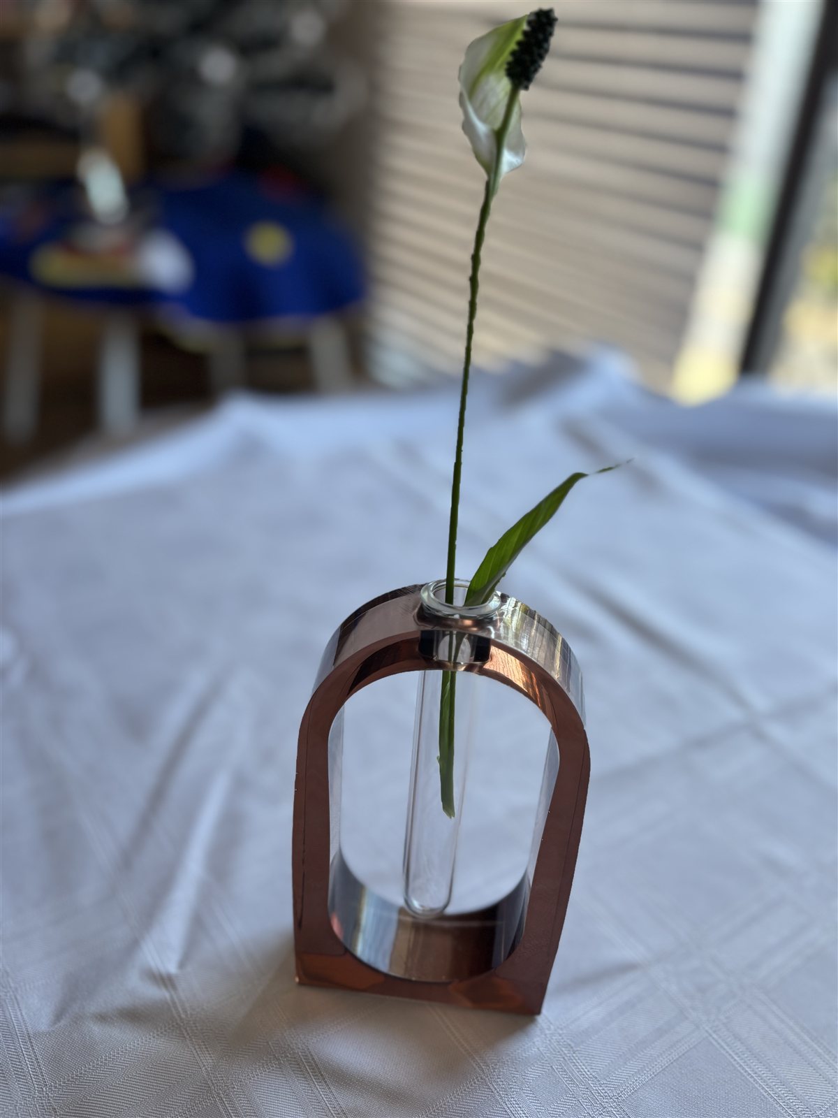 Arched maroon resin propagation vase holding a glass test tube with a single stem